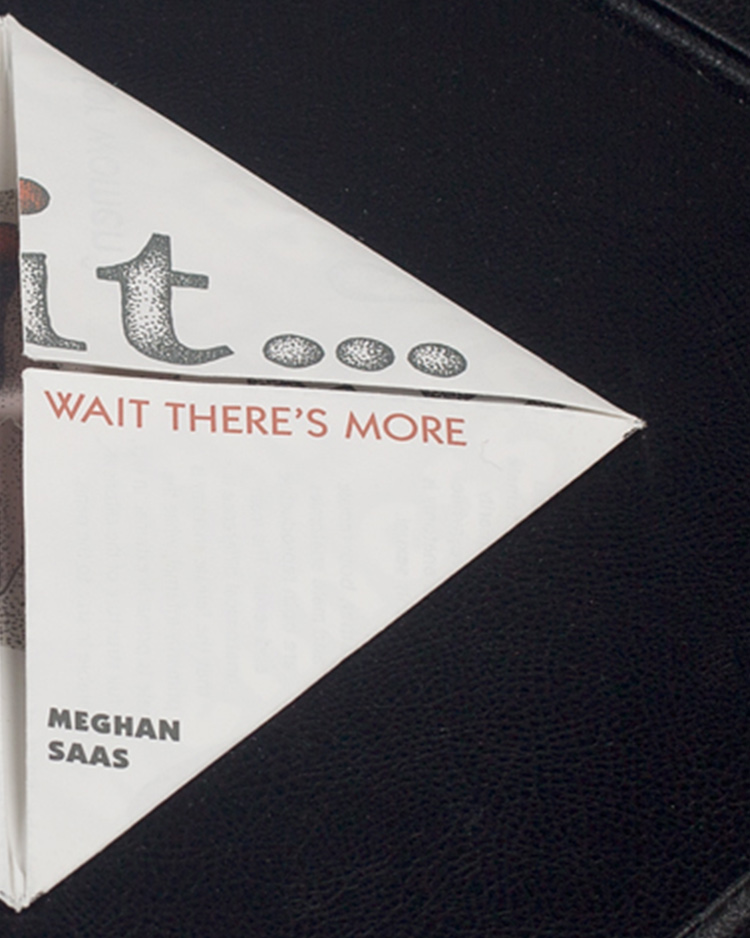 Detail image of Clit...Wait There's More book