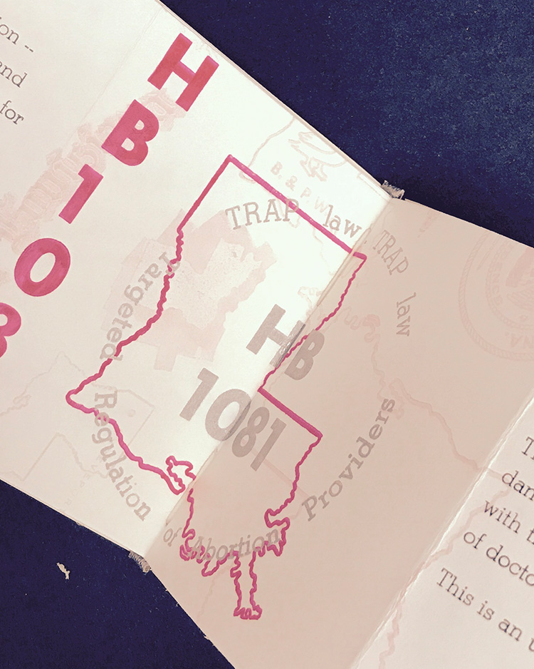 Detail image from Louisiana: It's a TRAP books - overlaid silver and pink Louisiana imagery with text "HB1081"